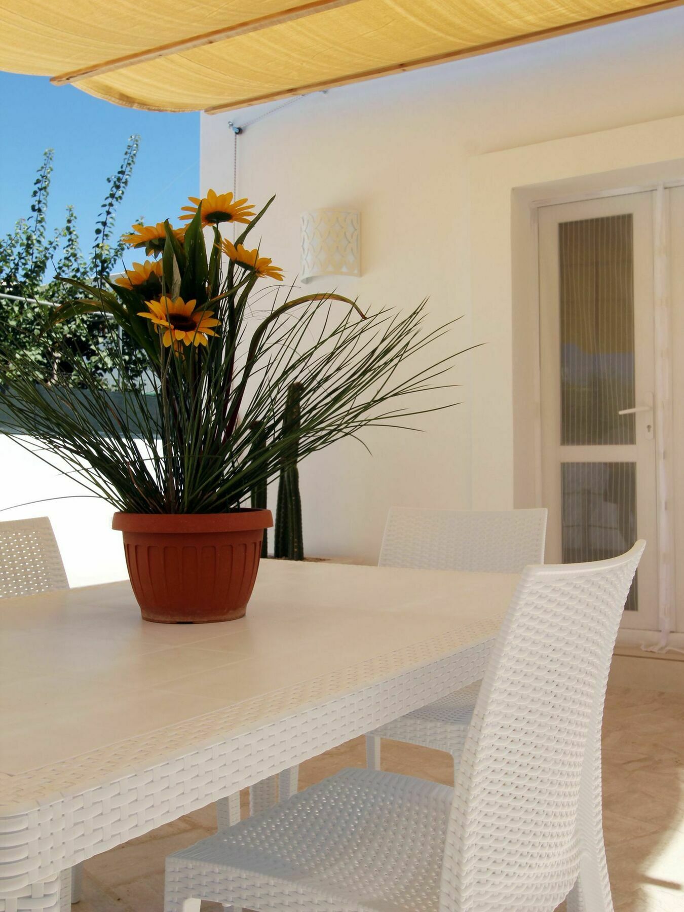 Vila Casine Tu Paziu Racale Exteriér fotografie